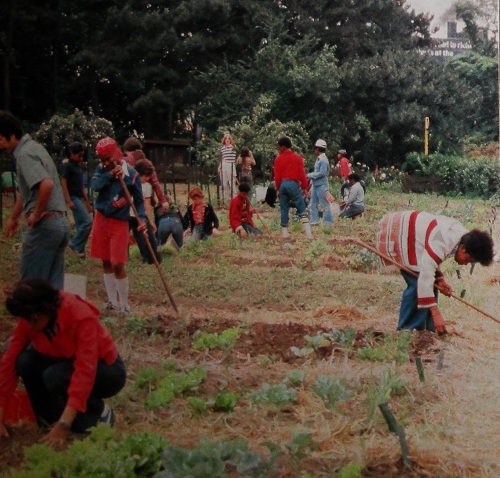 Brooklyn Botanic Garden, Children's Garden 1980